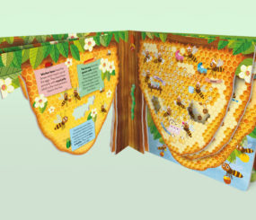 Explore Animal Kingdom