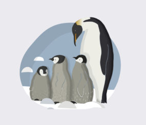 Wonders of the Animal World