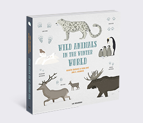 Wild Animals in the Winter World