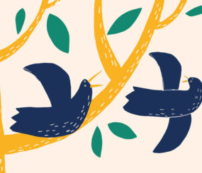 Animal Relationships