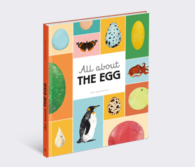 All about the Egg