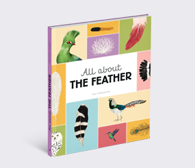 All about the Feather