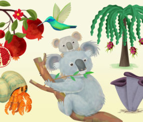 Encyclopaedias for Young Readers