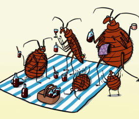 Investigation Underway