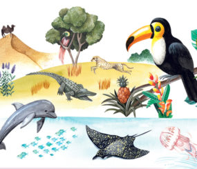 Nature's Wonderful Colours