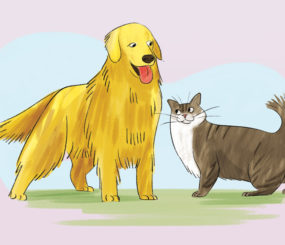 Atlases of Animal Companions