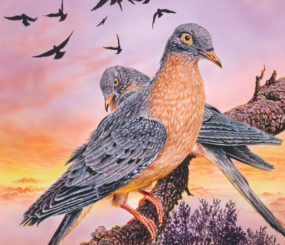 Large Encyclopedias of Animals