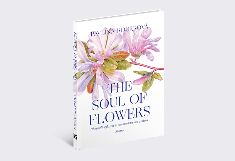 The soul of flowers