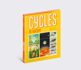 Cycles in Nature