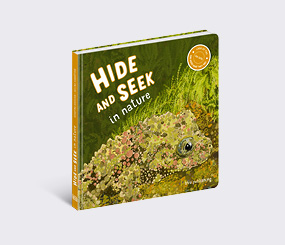 新品未開封 絶版本 HIDE AND SEEK インテリア アートブック 253_hide-and-