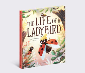 The Life of a Ladybird