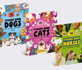 All You Need to Know