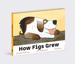 How Figs Grew