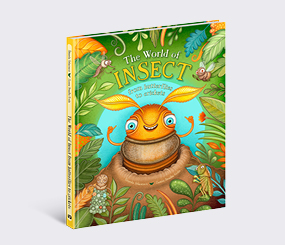 The World of Insects: from Butterflies to Crickets